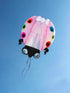 free shipping large ladybug 3D soft kite outdoor flying toys kites for adults vlieger kitesurf kite reel weifang kite factory