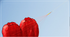 free shipping soft kites flying heart kites for adults kites and rays and lines love kites factory volantines paraglider fishing