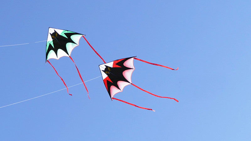 free shipping large bat kite flying children kite reel outdoor sports game kids toys ripstop nylon fabric primaris koinobori