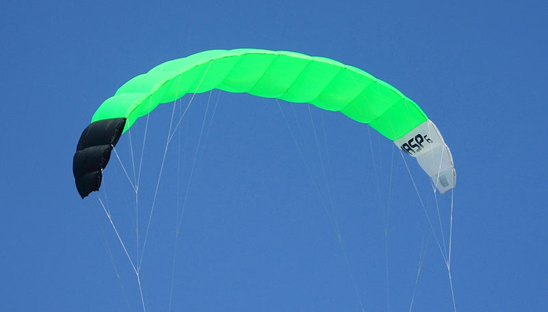 Free shipping parachute giant kites quad line power kites wasp kites paraglider kiteboard kitesurfing equipment for adults kites