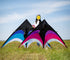 Free shipping children kites flying toys professional wind kites string line ripstop nylon kites factory kites for kids rainbow