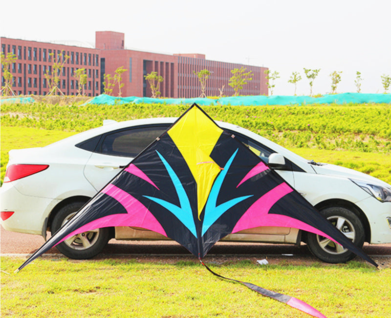free shipping large delta kites flying for adults kites reel professional wind kites factory pocket kite sports toys Eagle kite
