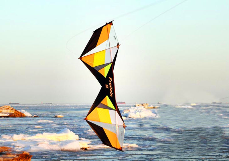 free shipping Freilein kites factory quad line stunt kite flying cerf volant cometas infantiles parachute control bar koi bag