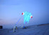 free shipping led fish kite flying trilobites factory kite for adults kite string line windsurfing papalote outdoor toys sport