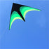 free shipping 2m large delta kite flying toys line kids kites factory delta kites flight kite string reel beach wind parrot game
