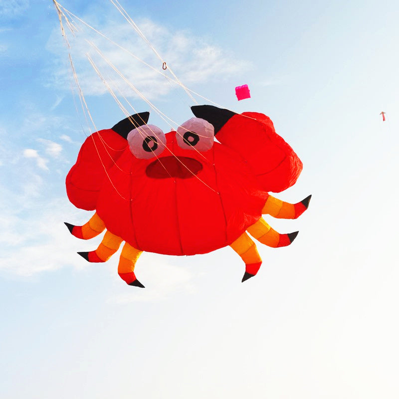 Free shipping soft kites pendant flying show kites crab kites inflatable kites factory airplane kite inflatable show kites