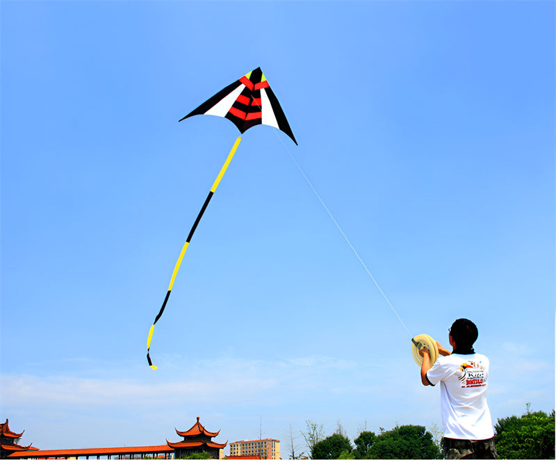 free shipping large delta kite flying nylon kite reel parachute cerf volant kevlar line eagle kiteboard kites for adults kites