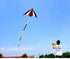 free shipping large delta kite flying nylon kite reel parachute cerf volant kevlar line eagle kiteboard kites for adults kites