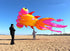 free shipping fish kite flying for adults kites goldfish kite sport professional kites large inflatable kite surf cerf parachute