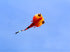 free shipping large tadpole kite for adults soft kites outdoor toys flying jellyfish trilobites kites factory parachute pointer