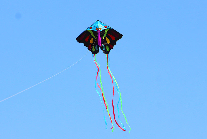 free shipping 220cm butterfly kites for adults kites string line professional winds kites reel parachute ikite factory weifang