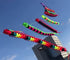 free shipping 12m large Centipede kite pendant flying windsock kite tails outdoor toys nylon kites for adults kites factory koi