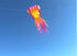 free shipping fish kite flying for adults kites goldfish kite sport professional kites large inflatable kite surf cerf parachute