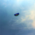 free shipping new beginner dual Line Stunt power Kite beach kite Parafoil kite surf fly outdoor fun sports kites flying ikite
