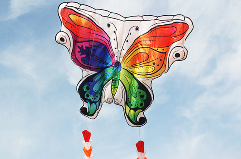 free shipping new kites flying butterfly kites nylon kites factory professional winds kites reel delta wing to fly kite handle