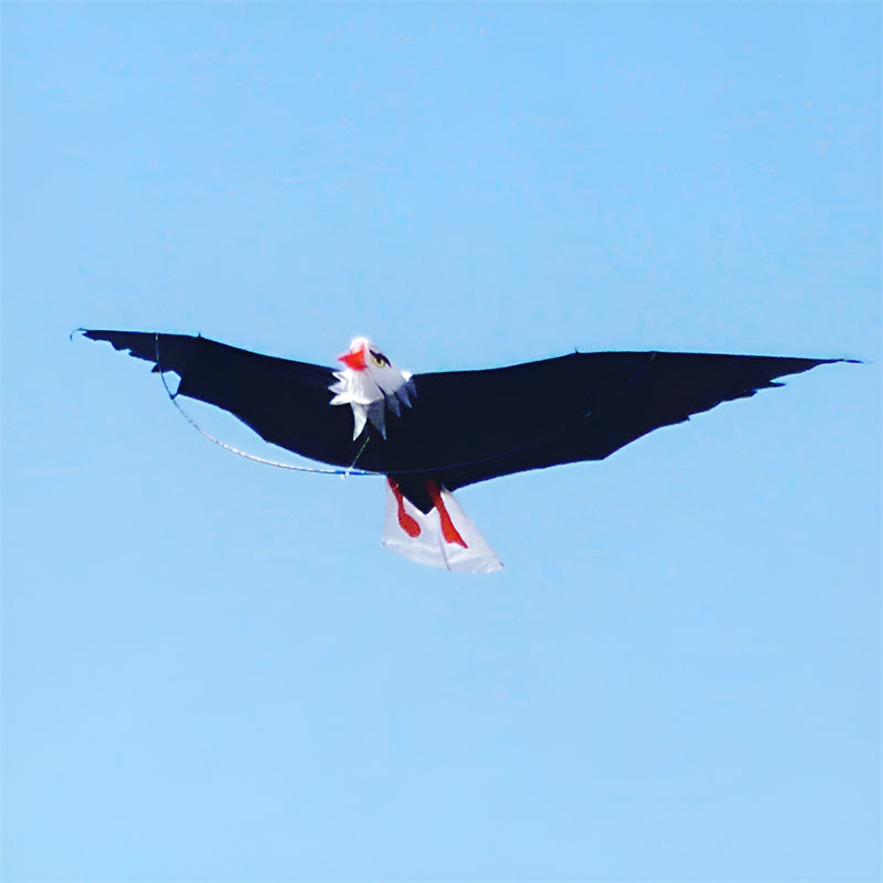 free shipping white eagle kite handle line kite surf for adults 3d kites kids flying toys windsocks bird kites sutherland sharks