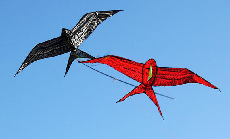 free shipping 2pcs/lot pole swallow kite flying traditional kites for adults kite line dragon kite factory ikite air snakes kite
