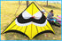 free shipping large delta kite flying butterfly kite reel parachute cerf volant kevlar line eagle kite for kids kite string line