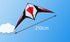 free shipping 210cm dual line stunt kites sword kites flying toys for kids kites new beginner kite windsurfing professional wind