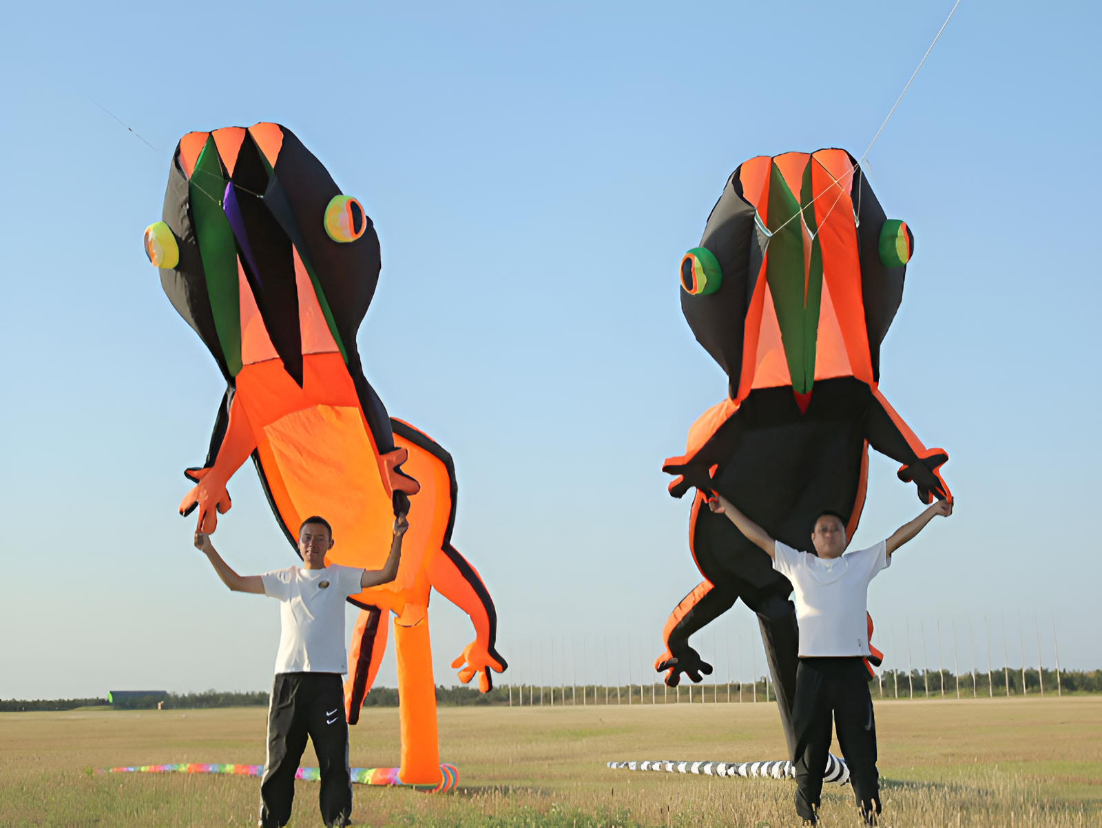 free shipping large soft kite 14m gecko kite line animated kites flying bird inflatable kite Outdoor game profession kite eaglas