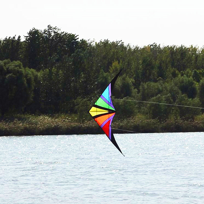 Free shipping dual line stunt kites flying power kites factory adults kites line kitesurfing chemical door for kite flying
