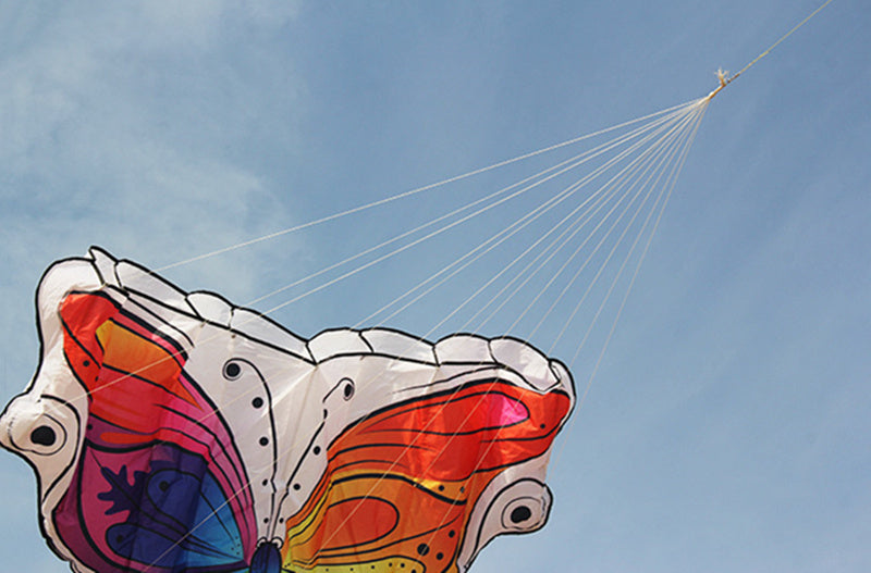 free shipping new kites flying butterfly kites nylon kites factory professional winds kites reel delta wing to fly kite handle