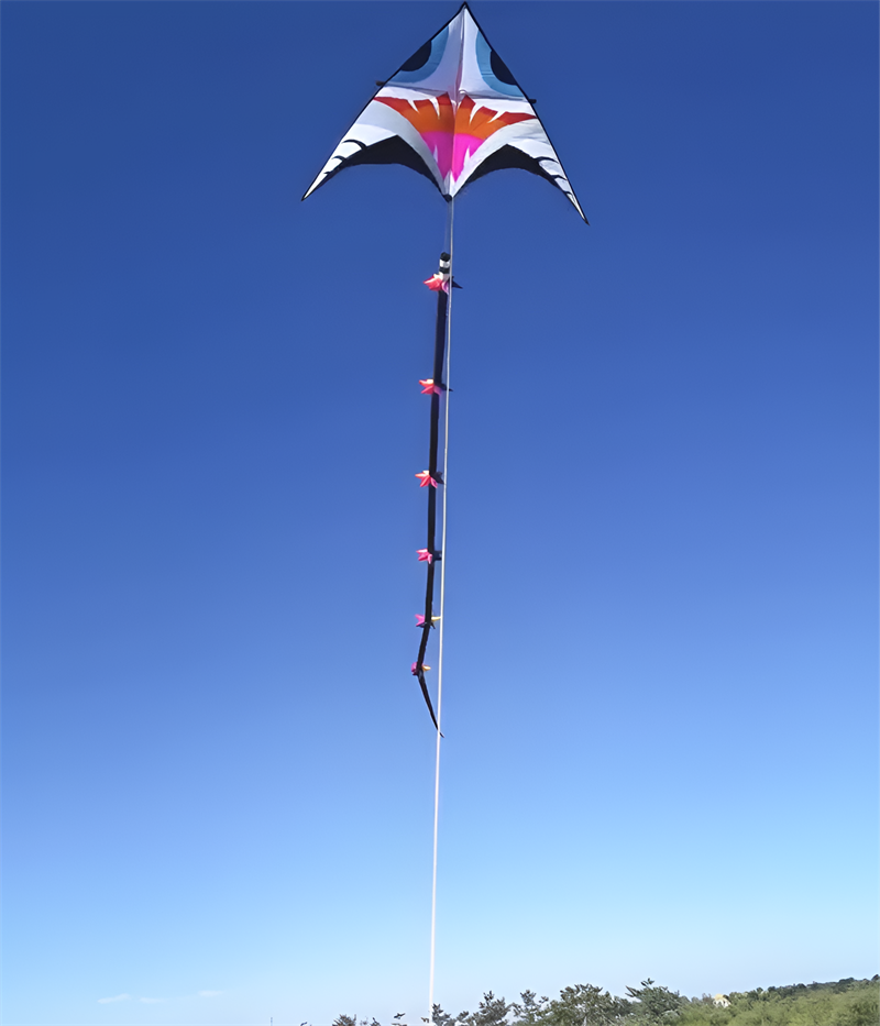 free shipping giant kites tails 3d kites windsocks kites flying for kids kites pendant octopus kites adults kites professional