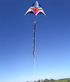 free shipping 3d kites windsocks Prick ball kites flying toys for kids kite large kite tails rainbow kite professional wind kite
