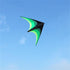 free shipping 2m large delta kite flying toys line kids kites factory delta kites flight kite string reel beach wind parrot game