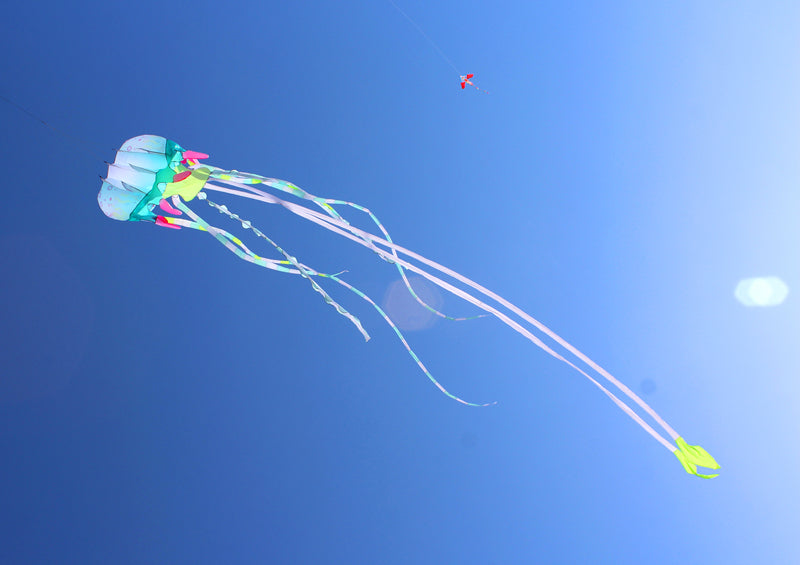free shipping 18m jellyfish kite flying inflatable kite windsocks huge kite wheel for adults outdoor game trilobites kites pipa