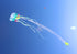 free shipping 18m jellyfish kite flying inflatable kite windsocks huge kite wheel for adults outdoor game trilobites kites pipa