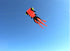 free shipping fish kite flying for adults kites goldfish kite sport professional kites large inflatable kite surf cerf parachute