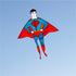 free shipping adults kites flying toys for children kites reel parachute wind kites string voar pipe paragliding windsurf Tarp