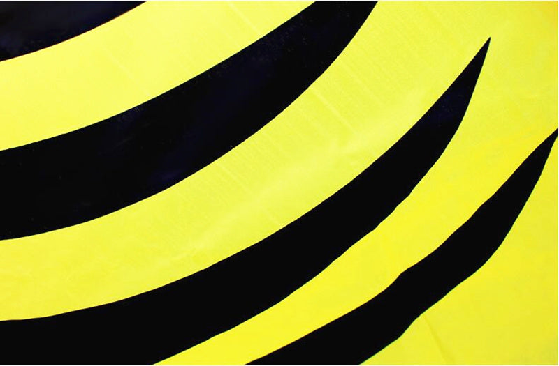free shipping fish kite flying outdoor game toys for kids ripstop nylon kite fabric children kite for adults kite bird eagle fly