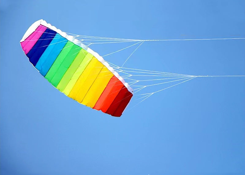 free shipping 270cm dual line large Parafoil kites fly Sports Beach stunt kite control bar outdoor toys kitesurf ikite factory