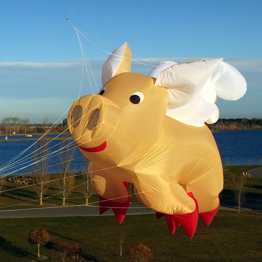 Free Shipping 3m Pig Kite Line Laundry Pendant Soft Inflatable Show Kite for Kite Festival 30D Ripstop Nylon with Bag