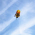 free shipping soft bee kite outdoor flying toy big kite weifang kite factory octopus kite for adults kite reel parachute arnes