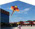 free shipping new flame dragon kite breeze easy to fly children's kite net red kite wheel adult beginner's kite