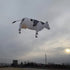 free shipping 3m cow kite pendant kite factory outdoor fun sports for adults kites and rays and lines paragliding rainbow high