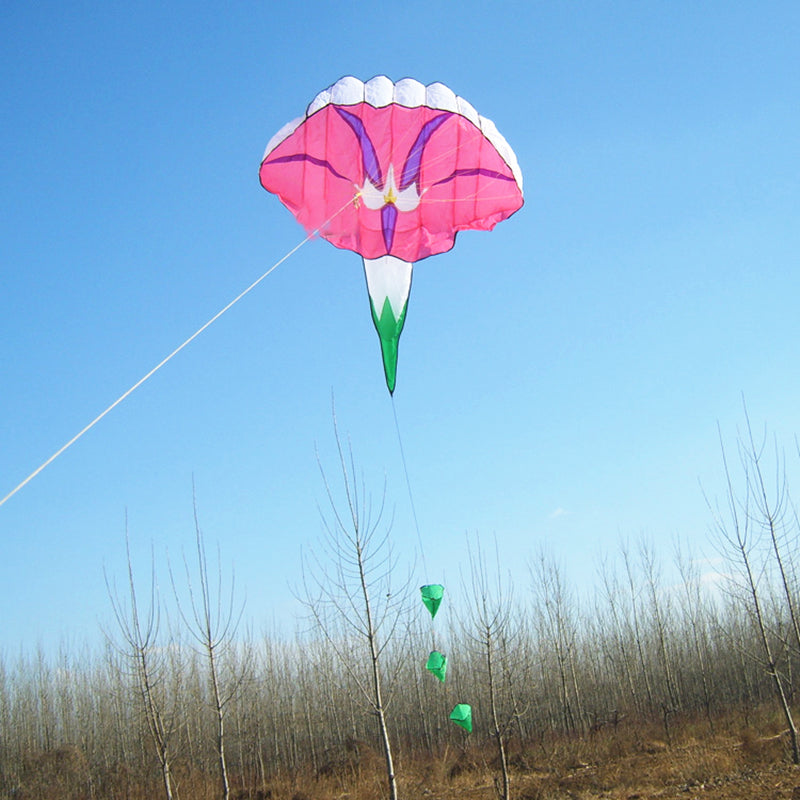 free shipping morning glory soft kite flying toy cerf volant adulte kites for kids kite surf vlieger weifang kite wholesale new