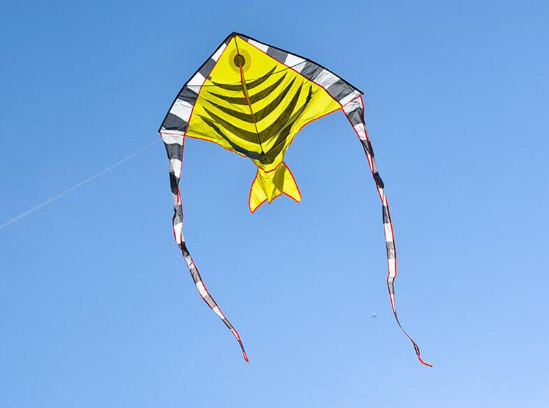 free shipping fish kite flying outdoor game toys for kids ripstop nylon kite fabric children kite for adults kite bird eagle fly