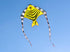 free shipping 10pcs fish kite factory wholesale outdoor flying toy kites for adults kids kite line nylon kite reel new toys