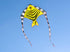 free shipping fish kite flying outdoor game toys for kids ripstop nylon kite fabric children kite for adults kite bird eagle fly