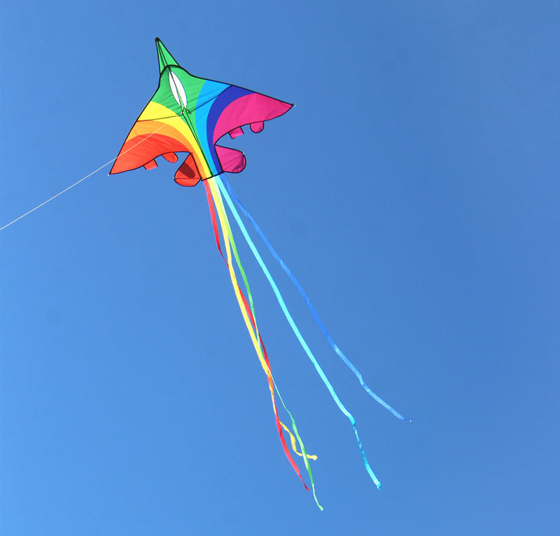 free shipping rainbow plane kites for children kites flying fighter kite line outdoor kites toys professional wind kite factory