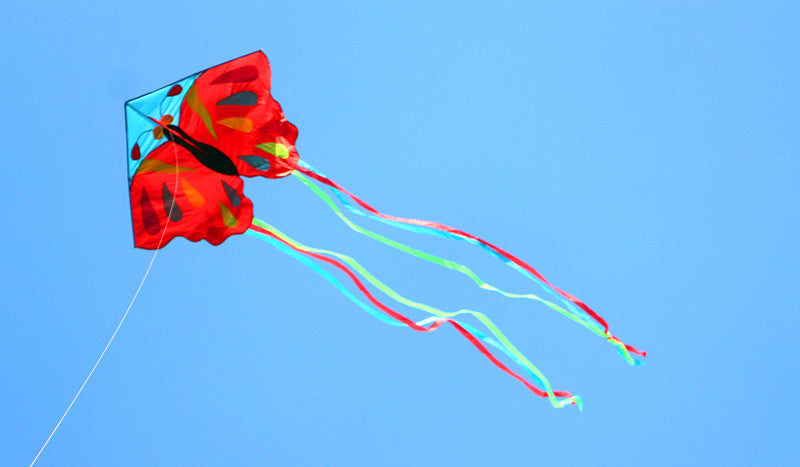 free shipping 5pcs butterfly kites for adults kites reel large kites factory cerf volant paragliding windsurf linha de pipa