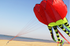 free shipping 8m jellyfish kites flying for adults kites line nylon kites factory professional paragliding inflatable show kites