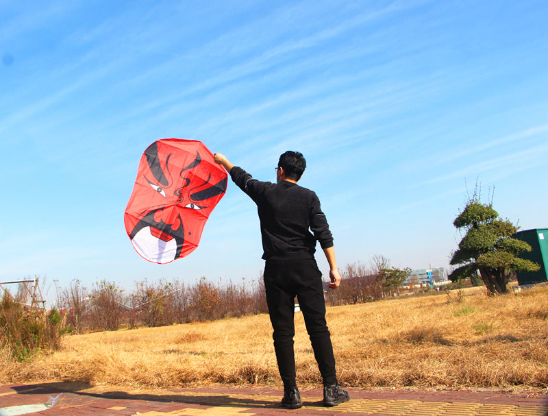 free shipping peking opera kites flying for adults kites traditioal kites line dragon kites parachute kites hexagonal kites