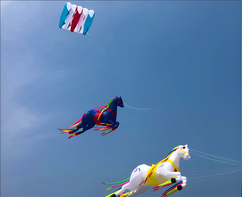 free shipping 36sqm pilot kite flying large soft kite parachute kite pendant jellyfish kite octopus kite inflatable show kite