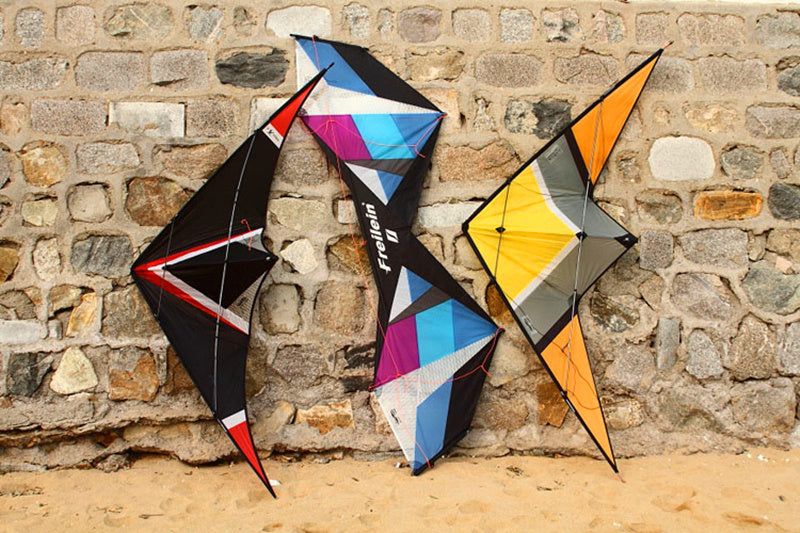 free shipping 250cm dual line stunt kite loudy large pull Freilein sweetbomb kite parachute kite factory outdoor koi paraglider