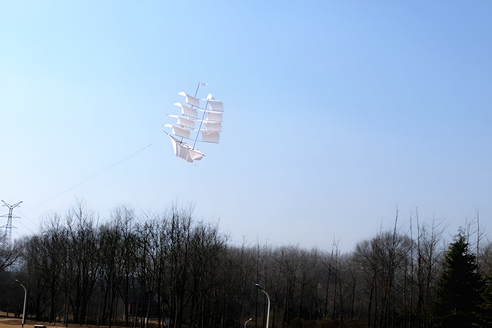 Free Shipping 3d kites flying for adults kites nylon Sailboat kites for sale bird kite snake parachute breeze fly with handle